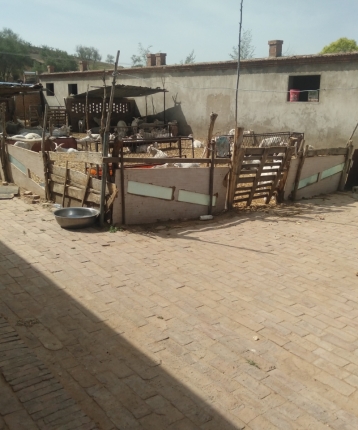 情深意浓的头像