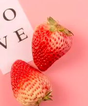 赛冬腊梅的头像